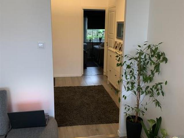 Lägenhet hyra i Helsingborg, Skåne