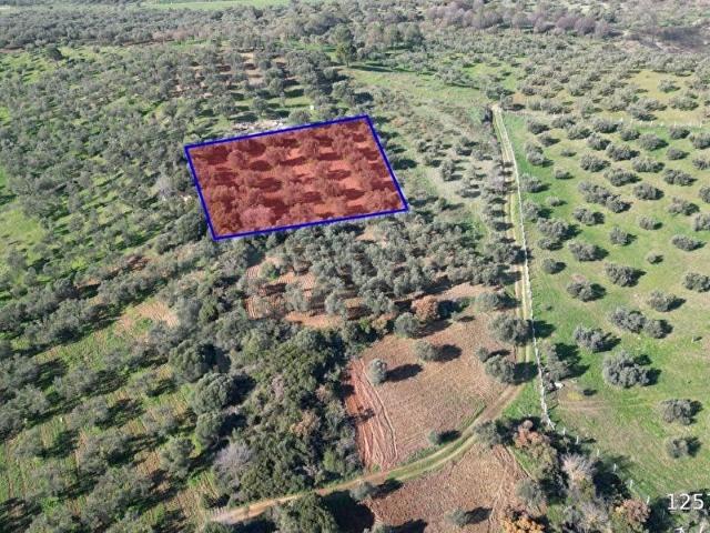Foça, İzmir içerisinde satılık Arsa