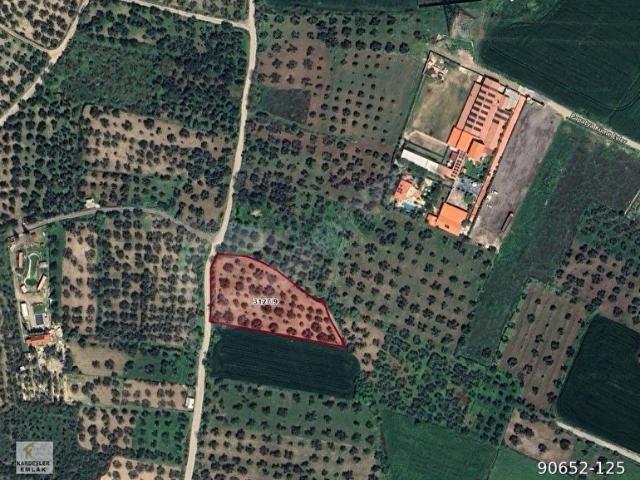 Aliağa, İzmir içerisinde satılık mülk