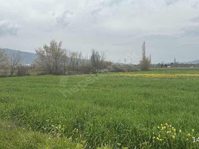Çine, Aydin içerisinde satılık Arsa