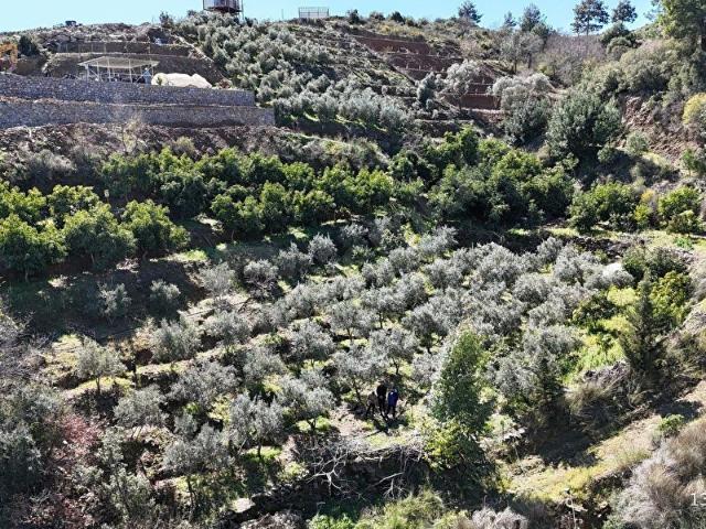 Gazipaşa, Antalya içerisinde satılık mülk