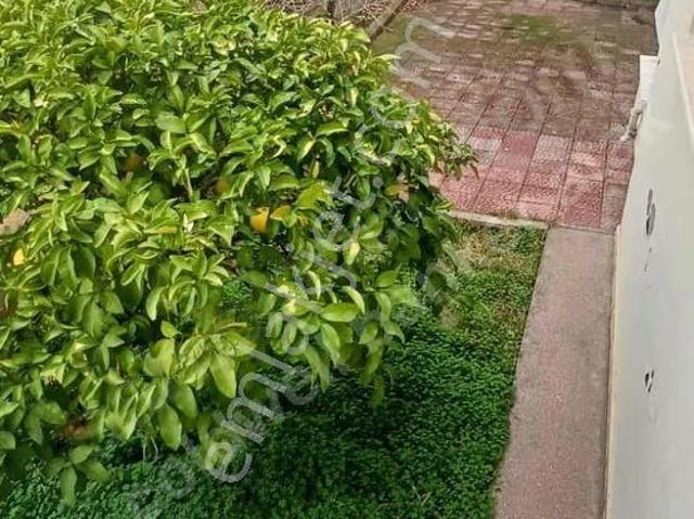 Güzelbahçe, İzmir içerisinde kiralık mülk
