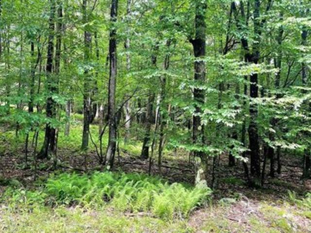 Land for sale in Terra Alta, West Virginia