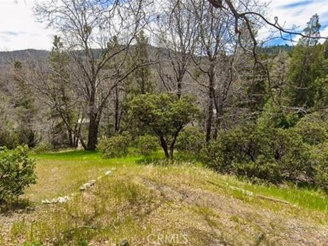 Land for sale in Cedar Glen, California