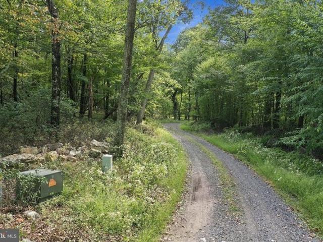 Land for sale in Baker, Hardy County