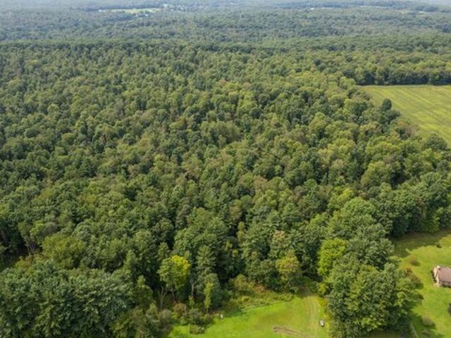 Land for sale in Marble, Washington Township