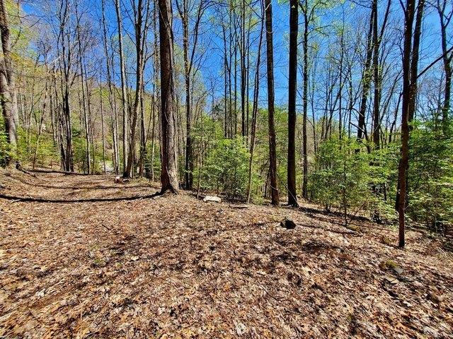 Land for sale in Sylva, North Carolina