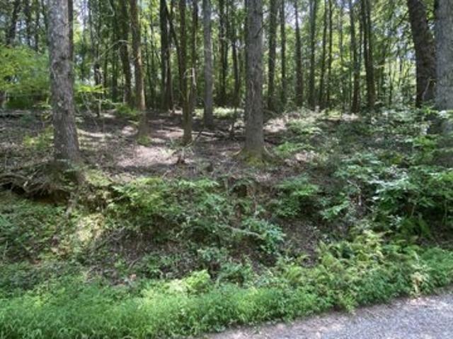 Land for sale in Blue Ridge