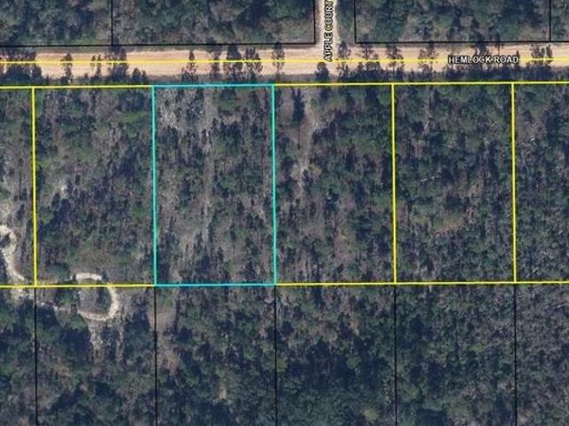 Land for sale in Marianna, Florida