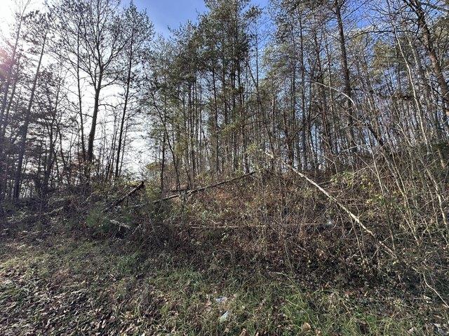 Land for sale in Williamsburg, Kentucky