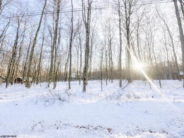Land for sale in Terra Alta, West Virginia