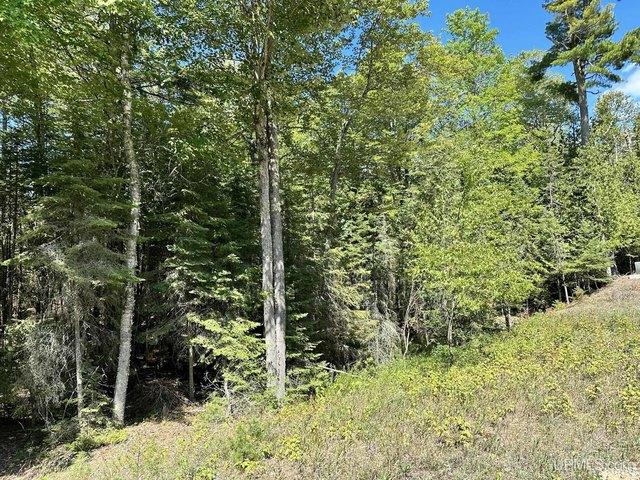 Land for sale in Manistique, Michigan