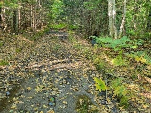 Land for sale in Ludlow, Aroostook County