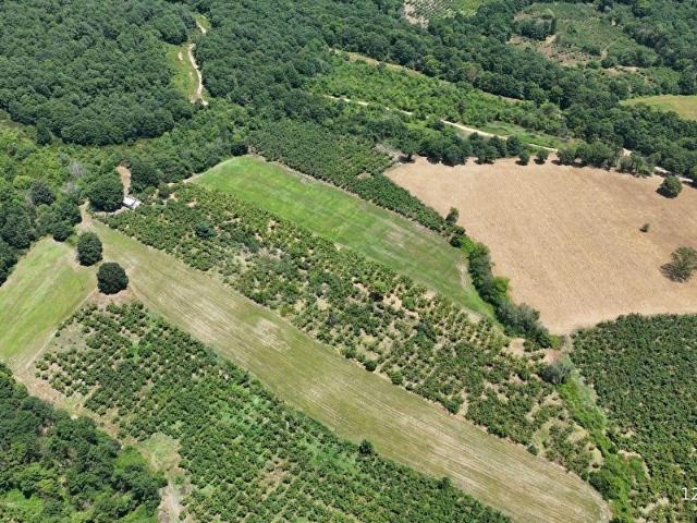 Hendek, Sakarya içerisinde satılık Arsa