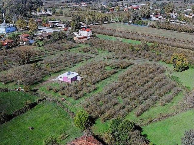 Hendek, Sakarya içerisinde satılık Arsa
