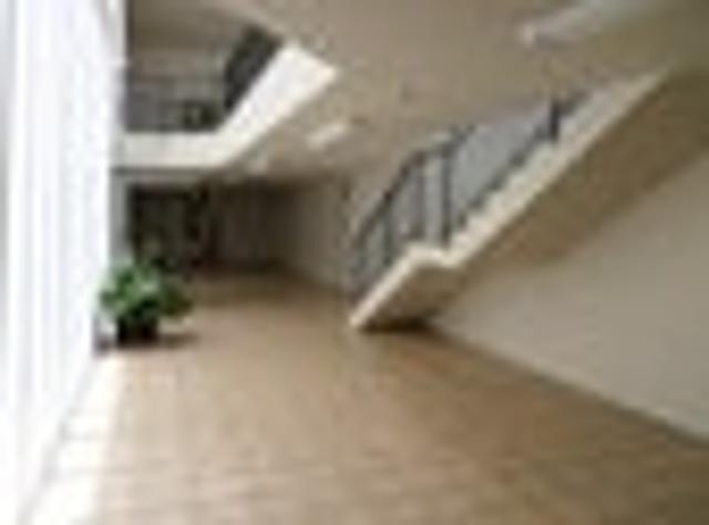 Apartment for rent in Rapanui