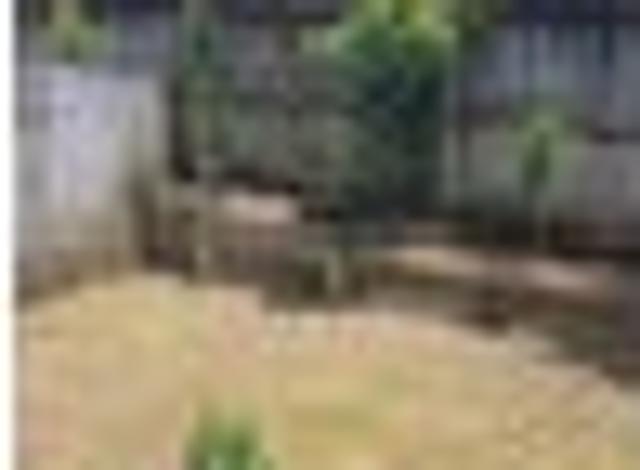 House for rent in Rapanui