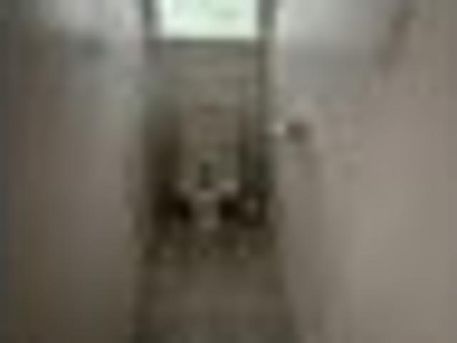 House for rent in Rapanui, Oroua County
