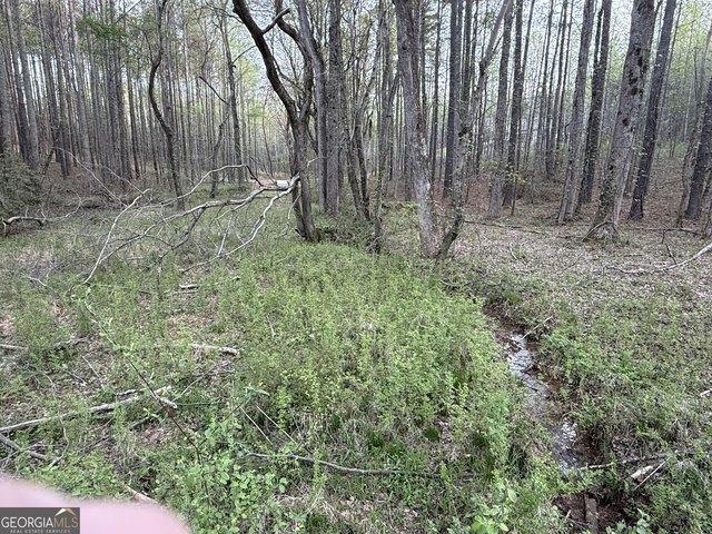 Land for sale in Gordon, Georgia