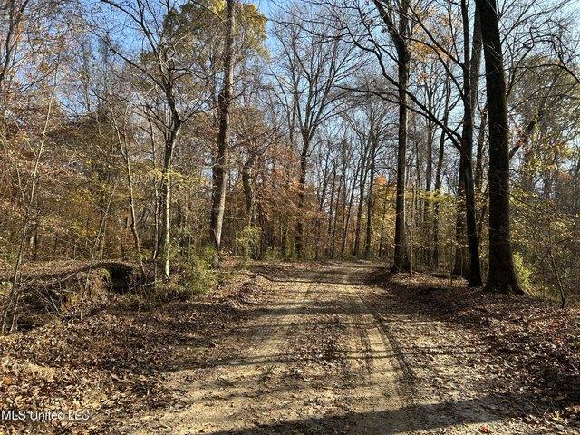 Land for sale in Bentonia, Mississippi