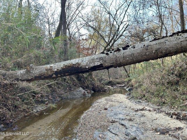 Land for sale in Bentonia, Mississippi