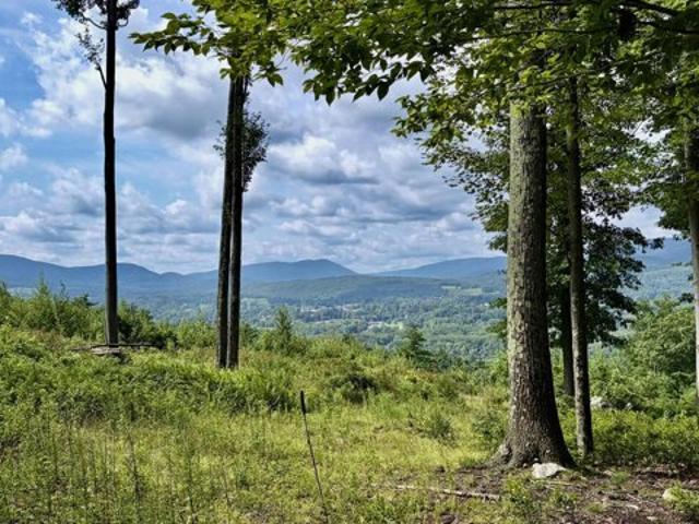 Land for sale in Williamstown, Berkshire County