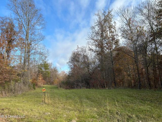 Land for sale in Bentonia, Mississippi