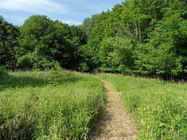Land for sale in Oneida, New York