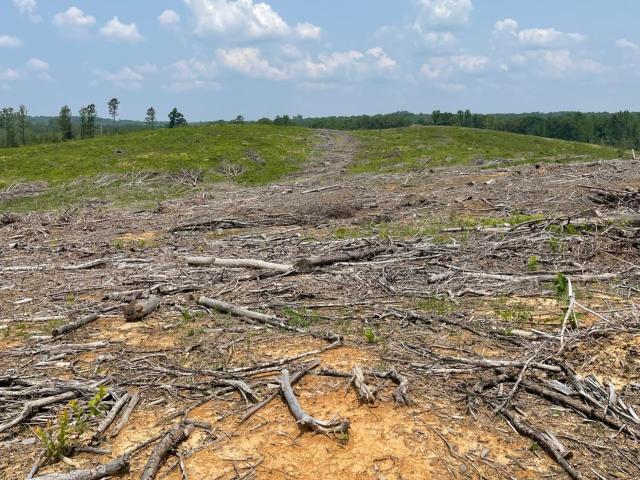 Land for sale in Grenada, Mississippi