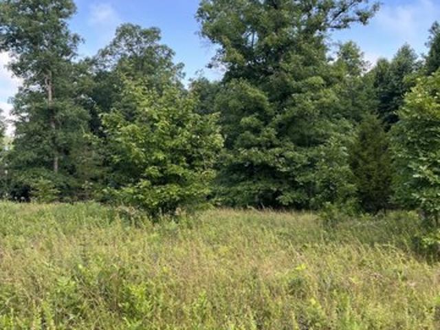 Land for sale in Tennessee