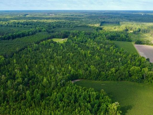 Land for sale in Hemingway, South Carolina