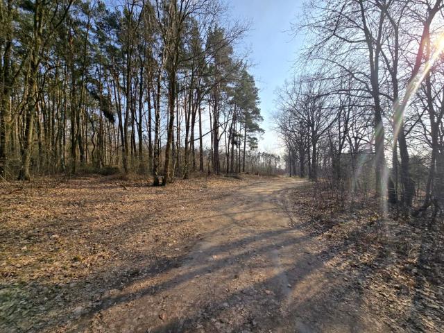 Grunt na sprzedaż w Oborniki Śląskie, powiat trzebnicki