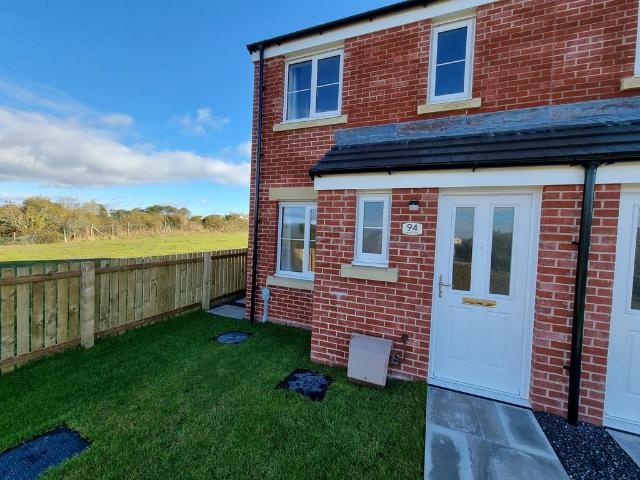 House for rent in The Paddocks at Ffos Las, Carway