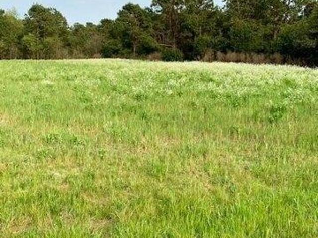 Land for sale in Hephzibah, Georgia