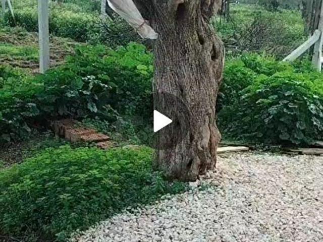 Bayindir, İzmir içerisinde satılık mülk