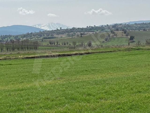 Kastamonu Merkez, Kastamonu içerisinde satılık Arsa