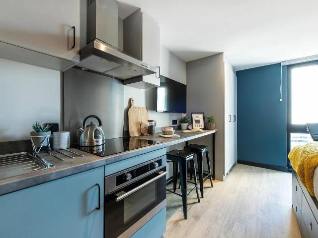 Studio for rent in Newtown, Falcon Lodge