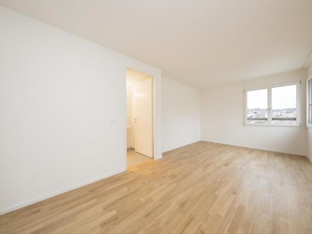 Apartment mieten in Olten, Amtei Olten-Gösgen