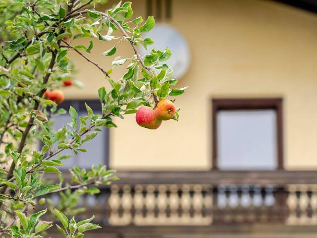 Haus kaufen in Salzburg