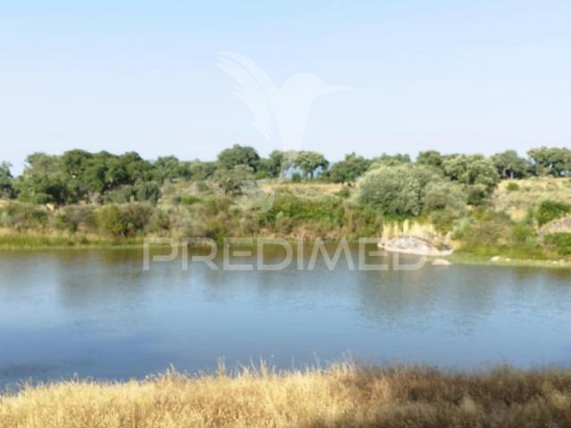 Quinta venda em Portalegre, Alagoa