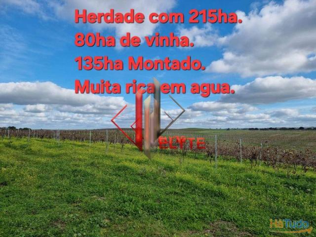Quinta venda em Vendas Novas, Évora