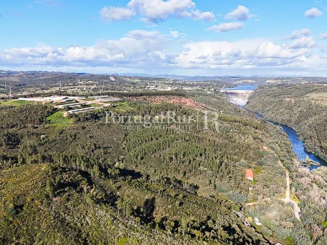 Vivenda venda em São Pedro De Tomar, Vermoeiros