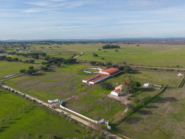 Vivenda venda em Quinta do Marco, Viana Do Alentejo