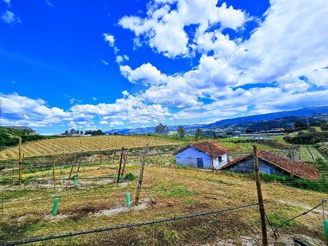 Quinta venda em Fregim, Amarante