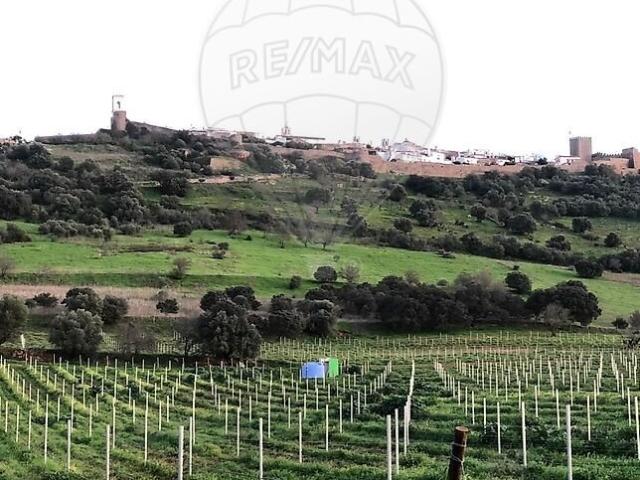 Quinta venda em Monsaraz, Reguengos de Monsaraz