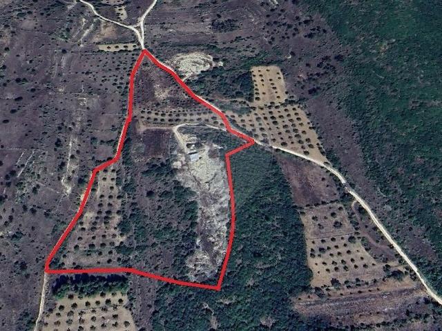 Quinta venda em Zambujal, Condeixa-a-Nova