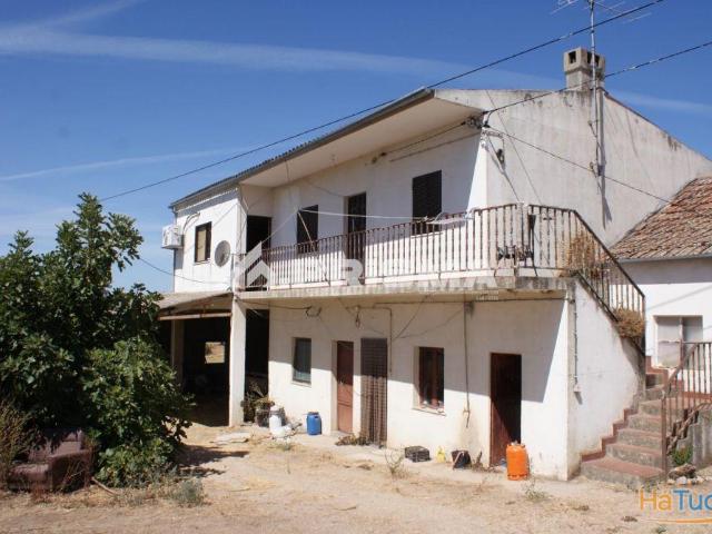 Quinta venda em Castelo Branco