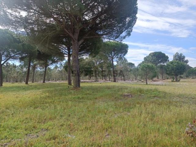 Terreno venda em Grândola, Setúbal
