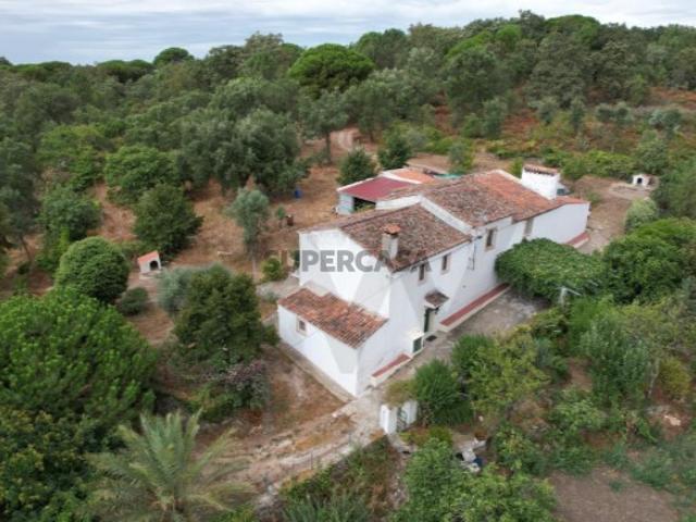 Casa venda em Portalegre, Vargem