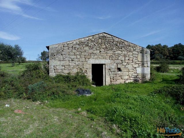 Terreno venda em Castelo Branco